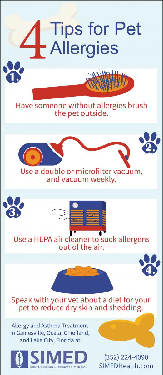 Tips for Pet Allergies including dog and cat allergies infographic flat design