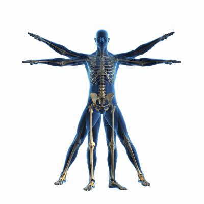 SIMED Rehabilitation Medicine, Physiatry, Physical Medicine, PM&R, Sports Medicine,
